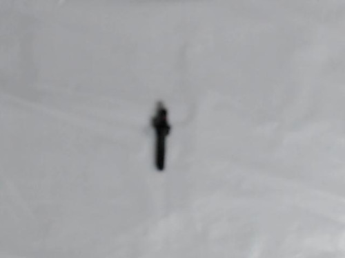 Genuine Briggs & Stratton STUD-ROCKER ARM Part Number 597315