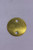 Genuine Tecumseh   SHUTTER  Part# 631682