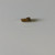 Genuine OEM Kohler JET MAIN part# 24 337 02-S