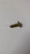 Genuine Sears Crafstman  SCREW TRUSS MACH #  Part# 710-0425