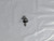 Genuine AYP SEARS HUSQVARNA SCREW Part# 581855201
