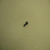 Genuine Kohler SCREW Part # M-839025-S