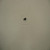 Genuine Kohler OEM SCREW HEX FLANGE RPL M-539010 Part# M-550010-S
