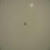 Genuine Kohler OEM SCREW RPL M-549010 Part# M-545010-S