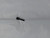 Genuine Shindaiwa BOLT SPW Part # V203001620