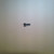 Genuine Kohler Part SCREW, IND SLT HD 10-24X3/8' 25 086 79-S
