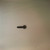 Genuine OEM Kohler SCREW WSH HD TAP 1/4-20X3/4 part# 25 086 100-S