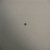 Genuine Kohler OEM O-RING Part# 24 153 02-S
