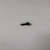 Genuine OEM Kohler SCREW LBD SCKT PAN M5X0.8X10 part# 24 086 35-S