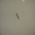 Genuine Kohler OEM HEX FLANGE SCREW Part# 24 086 17-S
