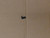 Genuine Toro KEY-ROCKING, R.H. Part# 139-6643