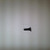Genuine OEM Kohler SCREW part# 231683-S