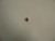 Genuine Kohler OEM SEAL Part# 231032-S