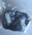Genuine Echo / Shindaiwa ASY., STARTER PULLEY Part# A052000270