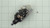 Genuine echo Part CARBURETOR RB-K72 A021000782