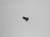 Genuine echo Part SCREW - 4X12   5.7 90025304012