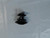 Genuine Toro TRUNNION Part# 119-7630