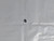 Genuine Echo / Shindaiwa FLANGE NUT 6 part # 43301903933