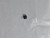 Genuine Echo NEEDLE BEARING Part# 17501230831