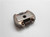 Genuine echo Part CLUTCH ASY. 17500002962