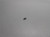 Genuine echo Part KEY, WOODRUFF 10014239130