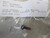 Genuine Echo / Shindaiwa BOLT, HSG. FLANGE Part# 9111005016