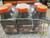 OEM Echo Shindaiwa 48 Pack 2.6 oz Bottles 2 Cycle Oil 1 Gal Part# 6450001