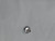 Genuine Echo / Shindaiwa EYELET part # 215703