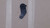 Genuine Echo CUSHION 5 Part# V401000050