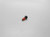 Genuine echo Part BOLT 4 V202000060