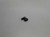 Genuine echo Part PAWL, STARTER P022006850
