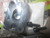 Genuine Echo / Shindaiwa KIT, INSULATOR Part# P021015350