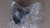 Genuine echo Part CLUTCH DRUM A556000610