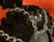 Genuine Ariens SET- CHAIN- TIRE  16 X 8 Part # 72601800
