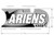 Genuine OEM Ariens Sno-Thro Decal, Front Panel - 1332Le 00290900