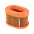 Genuine OEM Briggs & Stratton FILTER-A/C CARTRIDGE Part# 790166