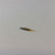 AYP Sears Husqvarna Jonsered OEM INLET NEEDLE part# 503563401
