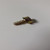 Genuine AYP SEARS HUSQVARNA SCREW.HI-LO.CONSOLE Part# 532142432