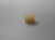Genuine AYP SEARS HUSQVARNA FILTER,VALVE Part# 575484601