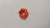 Genuine MTD  QUICK RELEASE KNOB  Part# 720-04146