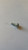 Genuine MTD  SCREW 10 9 X 50  Part# 1755