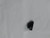 Genuine MTD  HOLD DOWN-CABLE Part # 946-0605