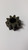 Genuine MTD  GEAR SPUR 9T  Part# 917-04849
