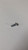 Genuine MTD  SCREW  Part# 710-05043