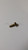 Genuine MTD  SCREW PLASTITE  Part# 710-04326