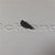 Genuine MTD  Part KEY-3/16 X 5/8 914-0388