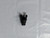 Genuine MTD  Part SWITCH ASM-KEY PUSH 931-05131A