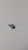 Genuine MTD  Part SCREW 710-0148
