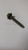 Genuine MTD  Part SCREW 710-04586