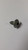 Genuine MTD  Part SCREW 710-1017
